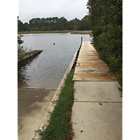 Kingtide Troop 824 image